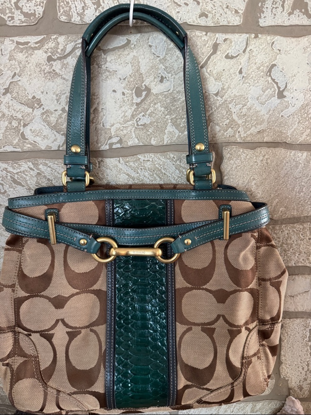 Coach Hampton Signature Teal Python Embossed Carryall